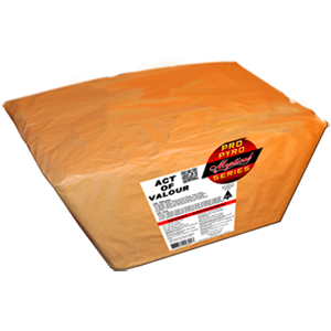 Act of Valor angled cake